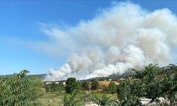 Bilecik'te anızda başlayıp ormana sıçrayan yangına müdahale ediliyor