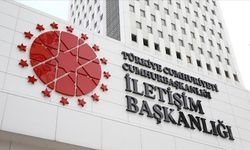 DMM: “Antalya’da köpekbalığı görüldü” iddiası dezenformasyondur