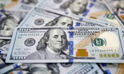 Finansal kesim dışındaki firmaların net döviz açığı mayısta arttı