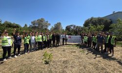 İzmir Ülkü Ocaklarından Anlamlı Proje: Satsuma Mandalinası Ata Tohumu Koruma ve Ağaçlandırma Merkezi Kuruldu