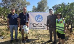 İzmir Ülkü Ocakları’ndan Yeşil Vatan İçin Ağaçlandırma Seferberliği