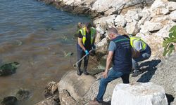 Yalova Belediyesi’ne Kanalizasyon Deşarjı Nedeniyle 1,3 Milyon TL Ceza