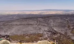 Tekirdağ'da orman yangınının neden olduğu tahribat havadan görüntülendi