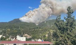 Hatay’da orman yangını