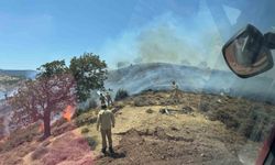 Çanakkale’de makilik alanda yangın