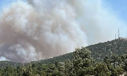 Manisa'da Şehzadeler ve Soma ilçesindeki yangınlarla ilgili 2 kişi tutuklandı
