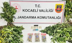 Kocaeli’de uyuşturucu operasyonlarında 1 şüpheli tutuklandı