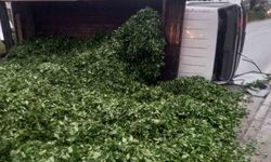 Kaza sonrası yola saçılan kamyon kasasındaki 10 ton çayı böyle temizlediler