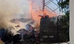 Elektrik kabloları odunlukta yangına neden oldu