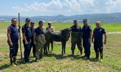 Katırlarını kurtarmak isterken kendisi de battı