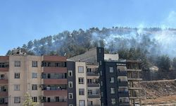 Şanlıurfa’da ağaçlık alanda çıkan yangın söndürüldü