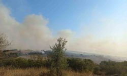 Balıkesir’de arazi yangın