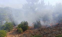 Denizli’de günler önce düşen yıldırım orman yangınına neden oldu