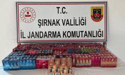 Şırnak’ta jandarmadan kaçakçılık operasyonu