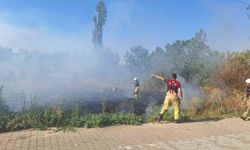 Selçuk’ta sazlık alanda yangın paniği