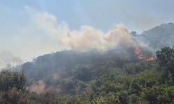 Balıkesir’de otluk ve makilik alanda çıkan yangın kontrol altına alındı