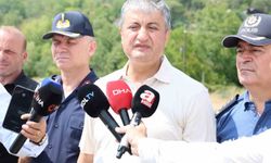 Vali Yavuz, "Orman yangını tek bir noktada devam ediyor’