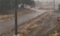 Seyitgazi’de ağustos ayında sağanak yağış