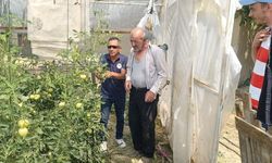 Tavşanlı’da seralarda bitki hastalık ve zararlı kontrolleri