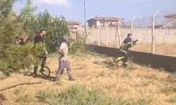 Havalimanı çevresindeki yangını ARFF ekipleri söndürdü