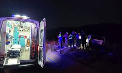 Bingöl’de otomobil ata çarptı: 2 yaralı