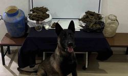 Gönen’de uyuşturucu madde ele geçirildi: 3 şüpheli hakkında işlem