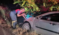 Çorum’da kontrolden çıkan otomobil ağaca çarptı: 2 yaralı