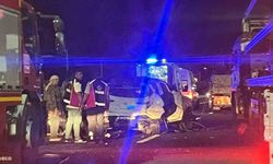 Aniden yola çıkan domuz kazaya neden oldu: 5 yaralı