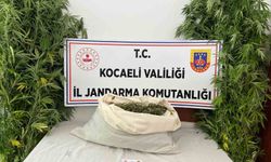 Evini uyuşturucu serasına çevirdi