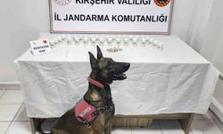 Kırşehir’de bin 823 sentetik hap ele geçirildi: 2 gözaltı