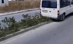 Kapaklı’da kontrolden çıkan minibüs refüjdeki ağaca ve direğe çarptı
