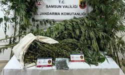 Samsun’da jandarma kenevir ve kubar esrar ele geçirdi