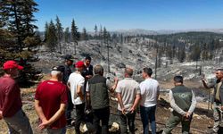 Vali Mehmet Fatih Çiçekli: "Yangın tamamen kontrol altına alındı"