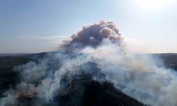 Gelibolu’da çıkan orman yangını dron ile görüntülendi