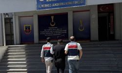 Hırsızlıktan aranan hükümlü jandarma ekiplerince yakalandı