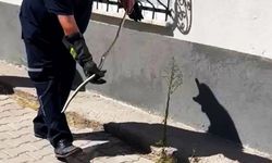 Karabük’te doğalgaz kutusuna giren yılan yakalandı