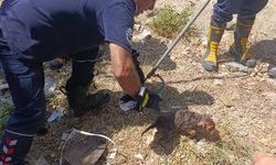 Kuyuya düşen yavru köpek kurtarıldı