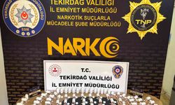 Tekirdağ’da sokak çetelerine darbe: 11 kişi tutuklandı