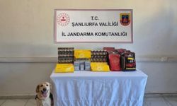Şanlıurfa’da uyuşturucu operasyonu: 6 gözaltı