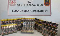 Şanlıurfa’da 2 bin paket kaçak sigara ele geçirildi