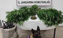Konya’da uyuşturucu tacirlerine operasyon