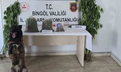 Bingöl’de uyuşturucuyla mücadele