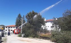 Kopan elektrik telleri yangın çıkarttı