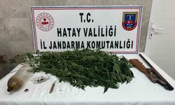 Payas’ta evinin bahçesinde hint keneviri yetiştiren şahıs yakayı ele verdi