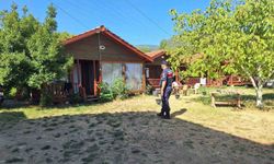 Günübirlik evler ve kiralık araç firmalarına jandarmadan denetim