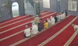 Mardin’de camiye giren oğlak güvenlik kamerasına yansıdı