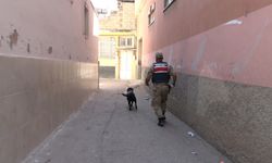 Kilis’te 2 yaşındaki kız çocuğu kayboldu