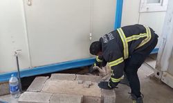 Hatay’da konteynerin altına sıkışan köpek kurtarıldı