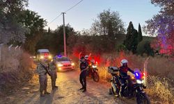 Jandarma incir hırsızlarına geçit vermiyor