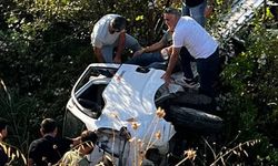 Kontrolden çıkan kamyonet ağaçlık alana uçtu